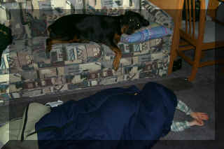 p0000268.jpg (440505 bytes)