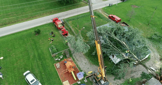 Tree on House Cleanup - 04