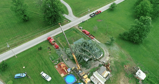 Tree on House Cleanup - 01