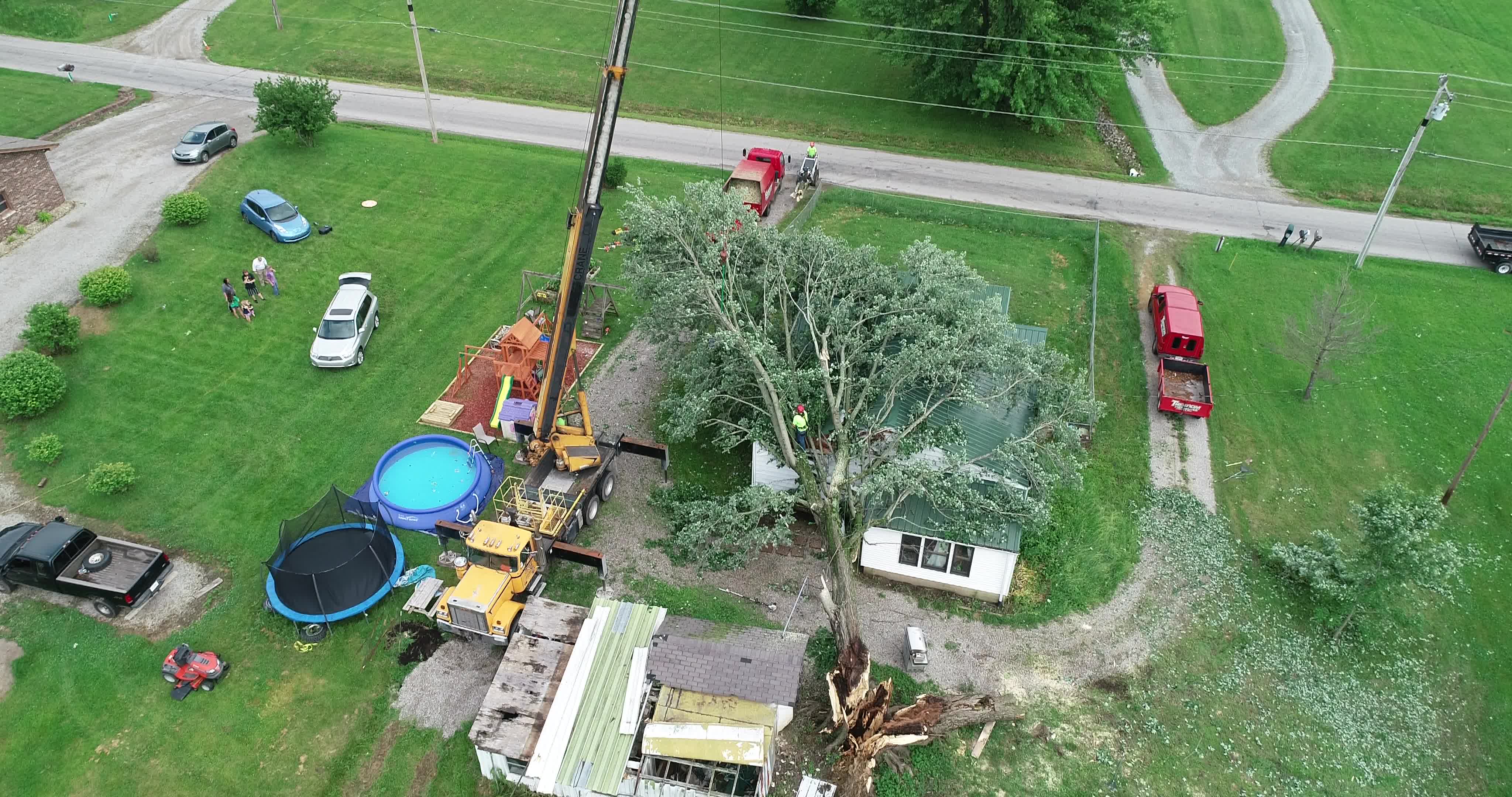 Tree on House Cleanup - 02