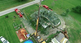 Tree on House Cleanup - 05