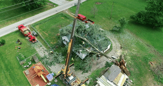 Tree on House Cleanup - 06