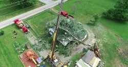 Tree on House Cleanup - 06