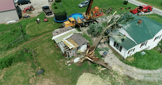 Tree on House Cleanup - 08