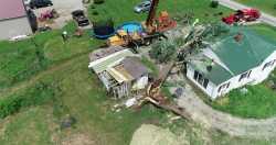 Tree on House Cleanup - 08