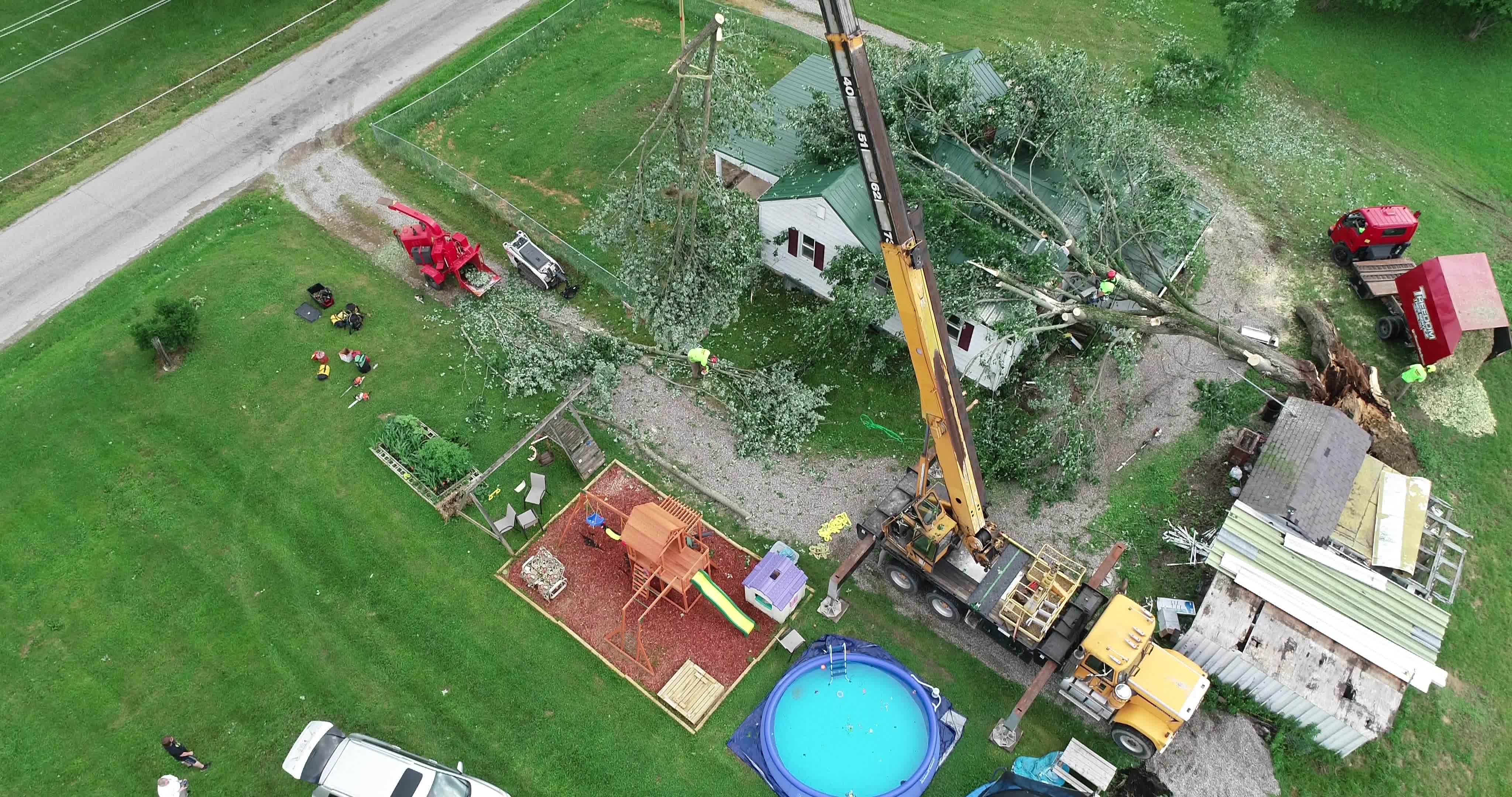 Tree on House Cleanup - 07