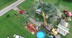 Tree on House Cleanup - 07