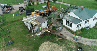 Tree on House Cleanup - 09