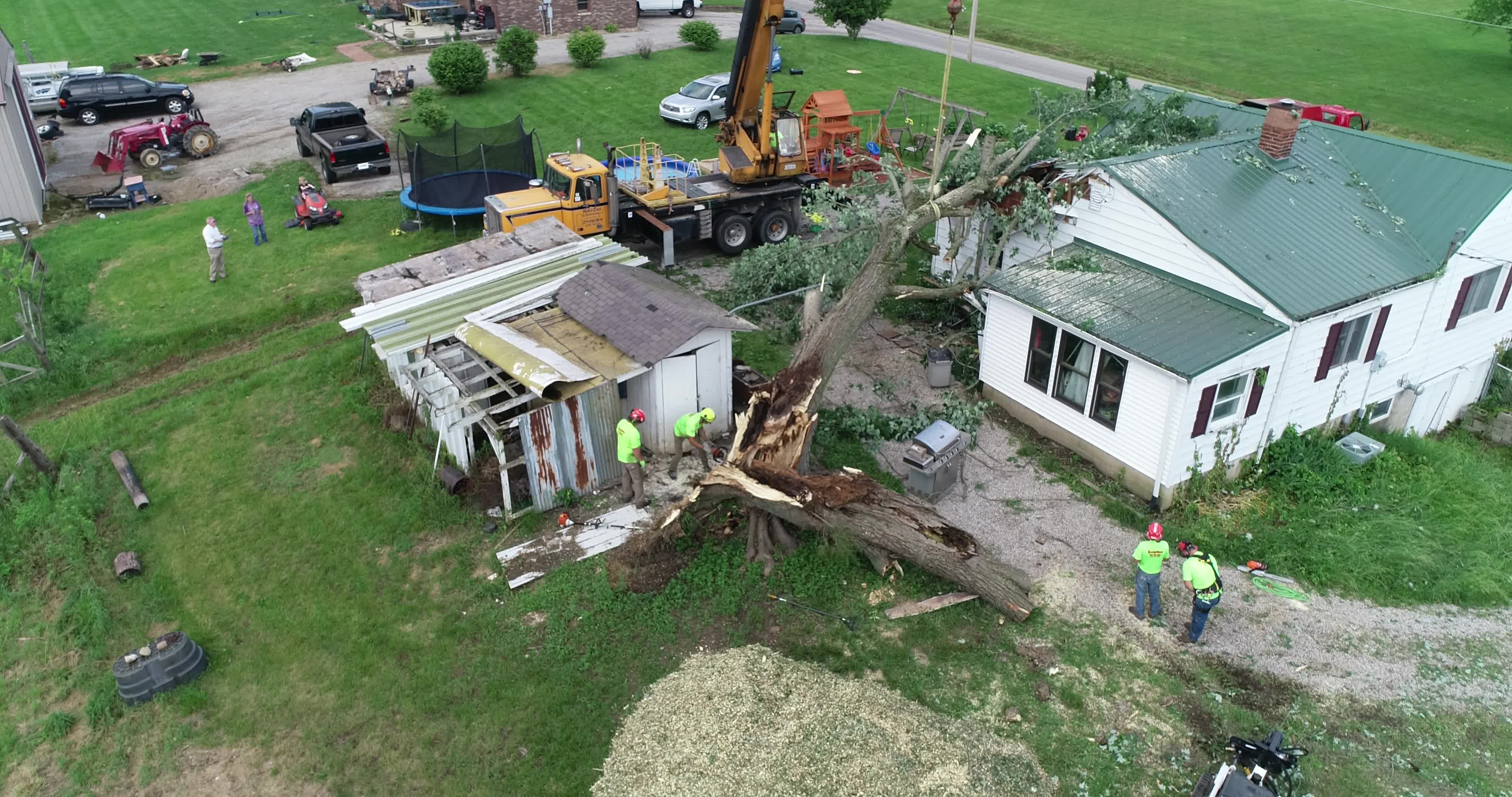 Tree on House Cleanup - 09