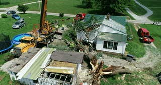 Tree on House Cleanup - 10