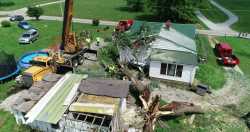 Tree on House Cleanup - 10