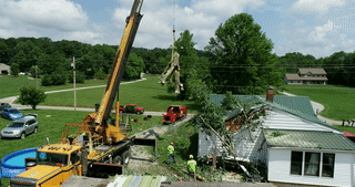 Tree on House Cleanup - 11